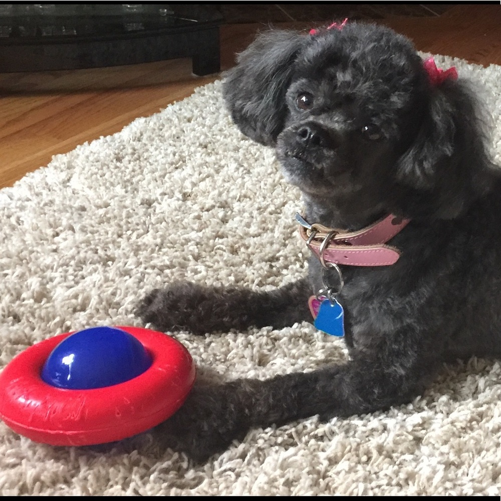 Meet your Posher, Lolo